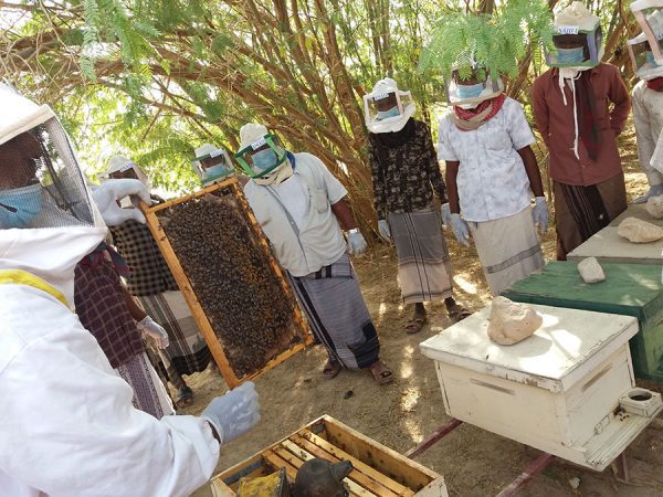 Yemen-Beekeeper-training