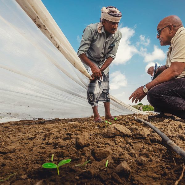 01.11.23 Lahaj Drip Irrigation AK for ERLP-FRONT