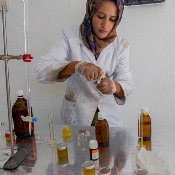Africa, Tunisia, Zaghouan. Fermes Ali Sfar olive oil mill. Kadouja Sghir took over the innovative oil mill with her son Mohamed after the death of her husband. Tesoro Del Rio olive oil. Their female engineer testing the quality of the oil.