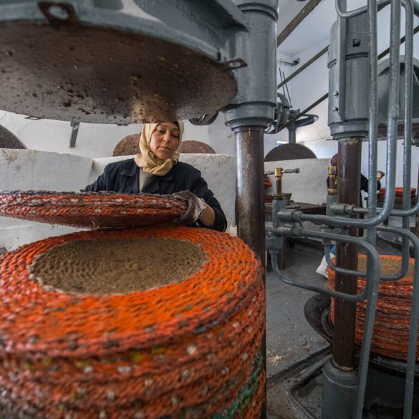 Africa, Tunisia, Zaghouan, Oued El Kenz. Fermes Ali Sfar olive oil mill. Kadouja Sghir took over the innovative oil mill with her son Mohamed after the death of her husband. Women working the olive press. Tesoro Del Rio olive oil.